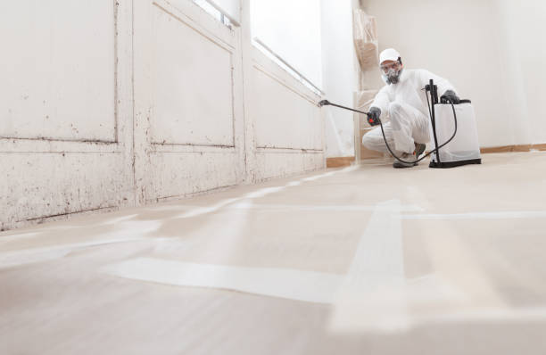 24/7 Emergency Crawl Space Mold Removal experts in Lexington, WA